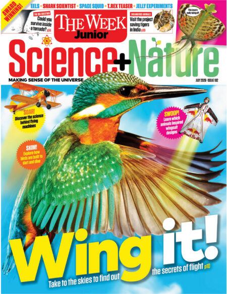 Science & Nature